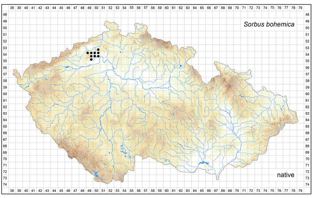 Distribution of Sorbus bohemica in the Czech Republic Author of the map: Martin Lepší, Petr Lepší Map produced on: 11-11-2016 Database records used for producing the distribution map of Sorbus