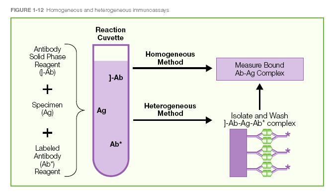 Homogenní kompetitivní EIA Ke vzorku se stanovovaným antigenem (Ag vz ) se přidá známé množství stejného antigenu značeného enzymem (Ag*) a specifická protilátka (Ab) v limitovaném množství.