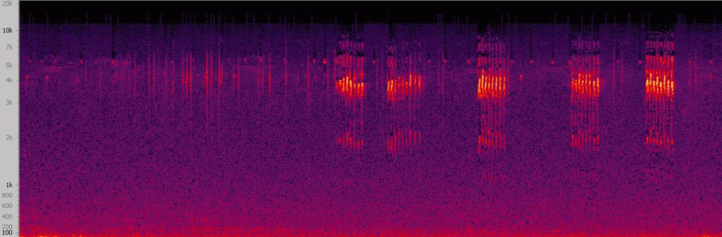 Příloha 1: Spektrogramy hlasových záznamů vybraných druhů Spektrogramy představují