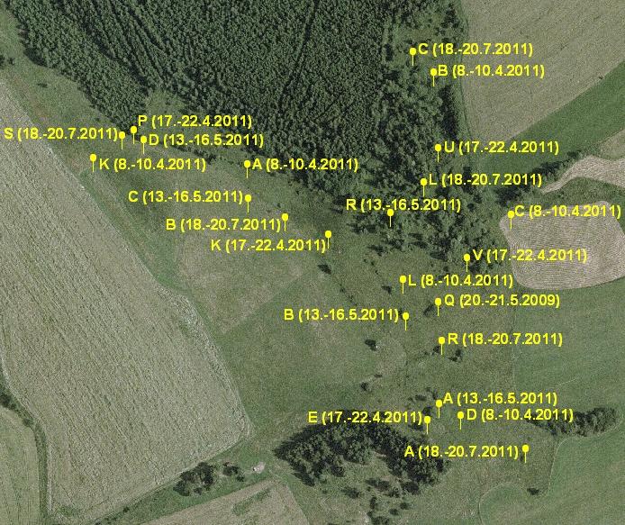 C) Orientační kontrola Návštěva lokality v libovolném čase, při které byly zaznamenávány všechny zjištěné druhy ptáků a u druhů vzácnějších též jejich počty.