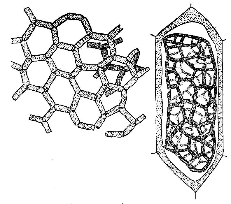 Hydrodyction