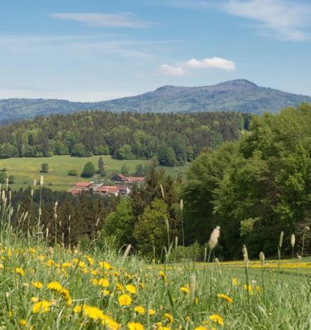 Procesu a Optimalizace IT řešení a Cloud