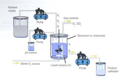 Chemostat medium Chemostat (Novick a.