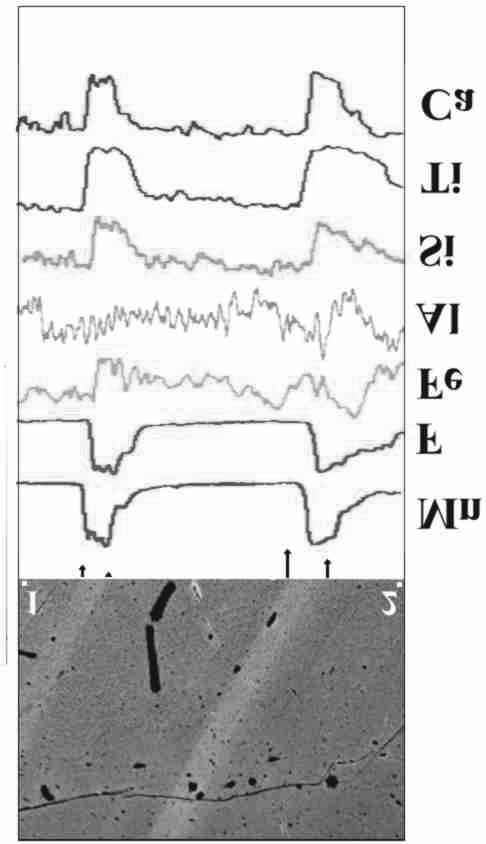 substituce celého tetraedru SiO 4 ètyømi atomy fluoru (SiO 4-4F - ) za souèasného uvolnìní Si ze struktury (neobsazení tetraedru SiO 4 ), v analogii se substitucí SiO 4-4OH -, která je popsána napø.