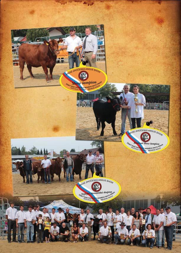 AMPIONI ANGUS SHOW Absolutní šampion výstavy: TINA RED Z PĚČÍNA kategorie: jalovice ve věku 12 24 měsíců ušní číslo: 412148931 CZ chovatel: Vladimír Lepša, Pěčín majitel: Vladimír Lepša, Pěčín