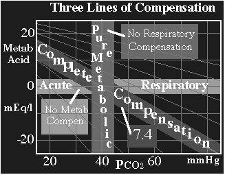 Acidóza respirační metabolická jednoduchá smíšená kombinovaná Alkalóza respirační metabolická jednoduchá smíšená kombinovaná podle úrovně kompenzace Acidóza kompenzovaná dekompenzovaná nekompenzovaná