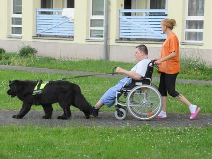 Jednodenní výlet vlakem do Krnova spojený s návštěvou cukrárny Exkurze Police ČR Jeden běh třídenního aktivizačního pobytu Nové Losiny PROSINEC Ples uživatelů v kulturním zařízení Moravskoslezský