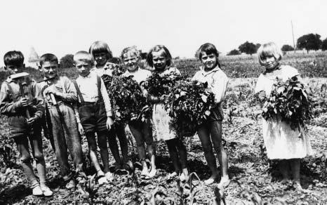 kolní rok 1960/61 V tomto roce se zdej í kola pfiihlásila do soutûïe o pion rsk hektar cti (kukufiice), pofiádané redakcí Rovnosti a âs. rozhlasu v Brnû.