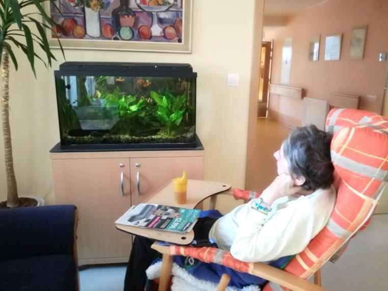 To, že společenská hra člověče, nezlob se je u nás oblíbená jsme už psali mnohokrát.