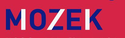 Přednáška má za cíl zařadit jeho dílo do kontextu vídeňské moderny, která je reprezentovaná Arthurem Schnitzlerem nebo Hugo von Hofmannsthalem.