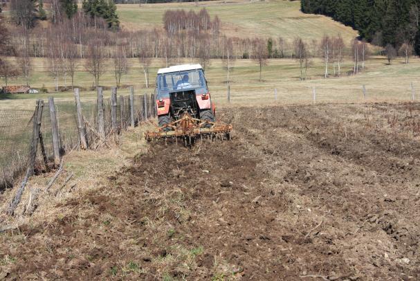 Výsadbě předcházelo dorovnání půdního povrchu vláčením traktorem (obr. 2). Na DP 1-4 byla provedena výsadba topolů černých, která je rozdělena do tří částí.