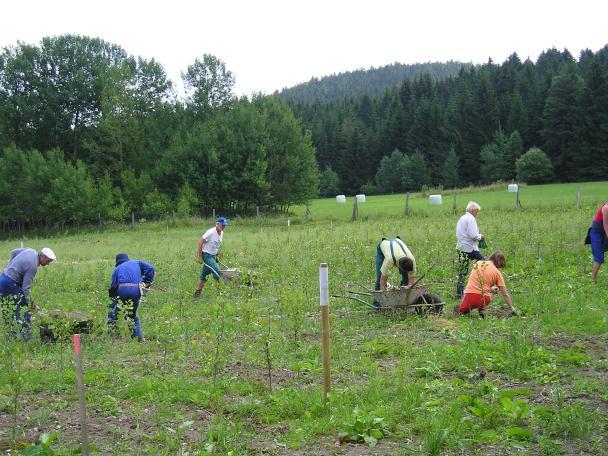 Obr. 10: Vyklízení