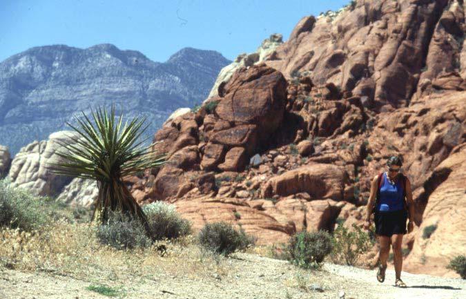 zlí duchové v Yaak Crack Red Rocks Canyon, Nevada TEXT: MARTIN KREJSA, PETR PIECHOWICZ Calico Hills na vedlejší straně: Michal Brepta vrona v cestě running amuck, 5.