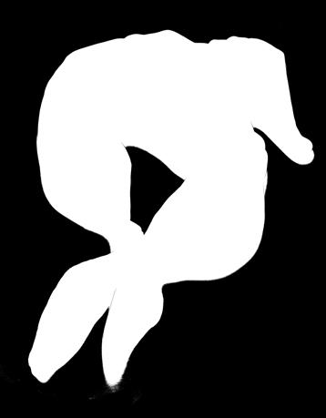 Hodinky: 272 x 42