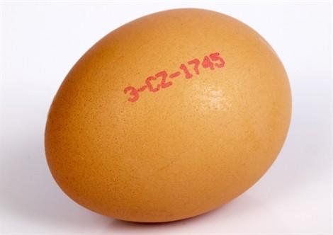 Příklad trh vajec Původní rovnováha na trhu při ceně 2,70 Kč a množství 110 kusů Vlivem reklamní kampaně Vejce jsou