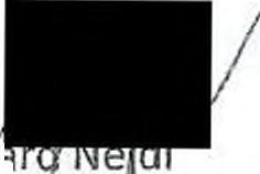 Souhlas s provedením výkopových prácir' není souhlasem s uložením přípojky do pozemku statutárního