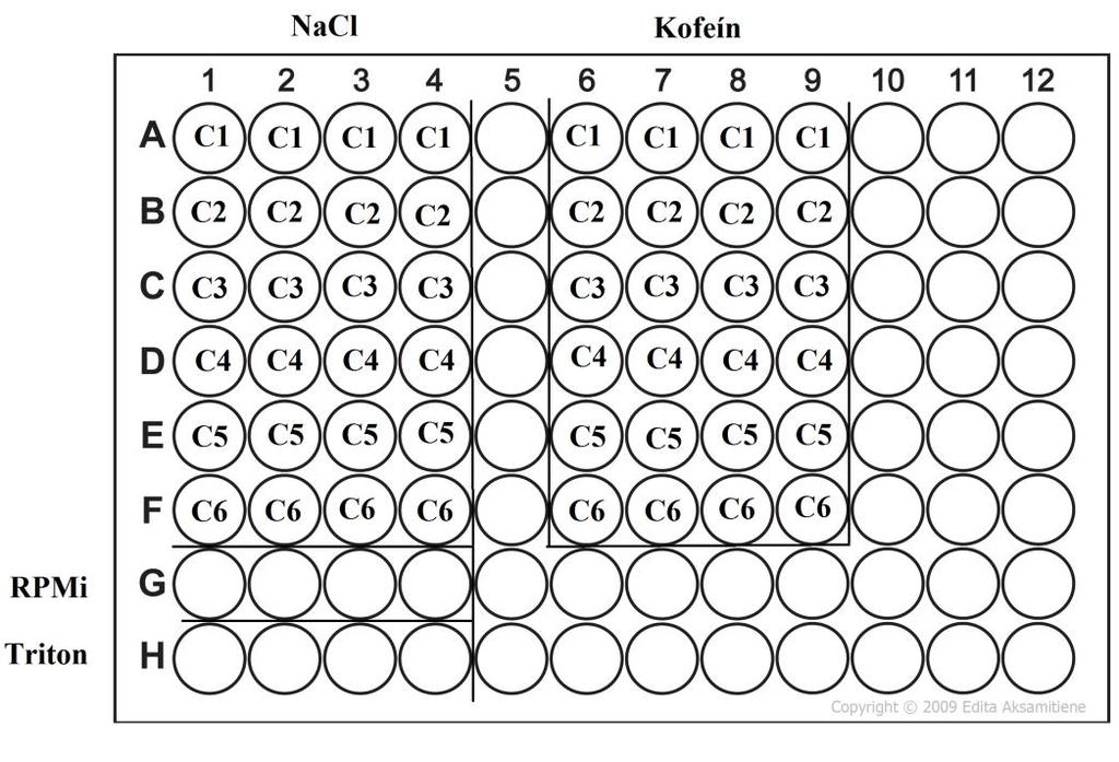 Sledování časové a koncentrační závislosti cytotoxicity in vitro V druhém bloku praktických cvičení provedeme inkubace testovaných látek připravených v minulém bloku s A2780 buňkami vysetými na 96-ti