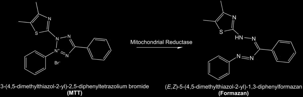 MTT test Jedná se o test životnosti buněk. Vychází ze skutečnosti, že v živé buňce fungují mitochondriální dehydrogenasy, zatímco v buňce poškozené či mrtvé nikoliv.