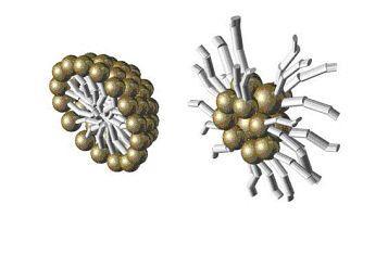 A B Obr. 9: Struktura micely s hydrofobní dutinou (A), s hydrofilní dutinou (B) Obr.