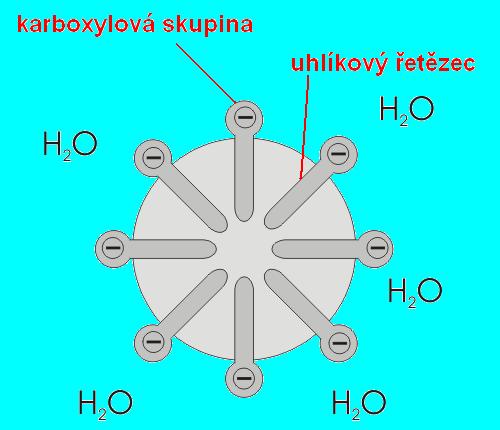 Chemická skladba tenzidu je celkem vhodné měřítko na posouzení aplikačních možností tenzidu jako podpůrného přípravku ve funkci emulgátoru, dispergátoru, smáčedla, pracího a čisticího prostředku nebo
