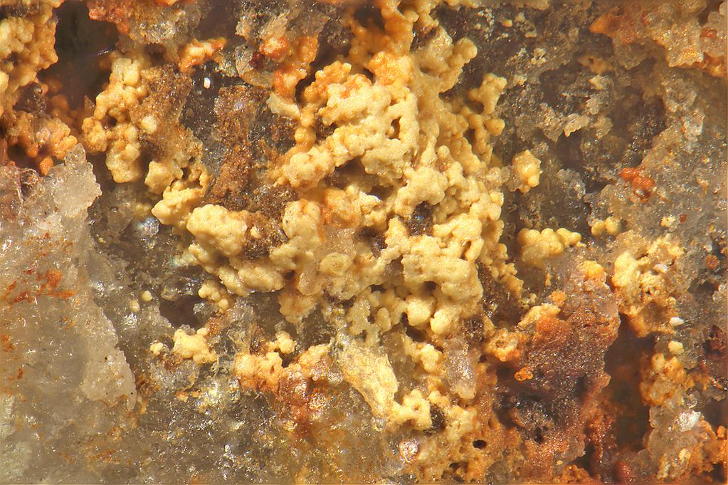 ferberitem. Na lokalitě byla nedávno zastižena Bi-Te mineralizace, která pocházela rovněž z křemenné žiloviny s limonitem. V asociaci bylo mimo ryzího bismutu, joséitu-a a B Obr.