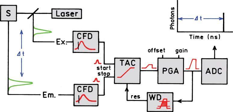 Následně signál prochází konvertorem TAC (time to amplitude converter), ten generuje napětí lineárně se zvyšující s časem.