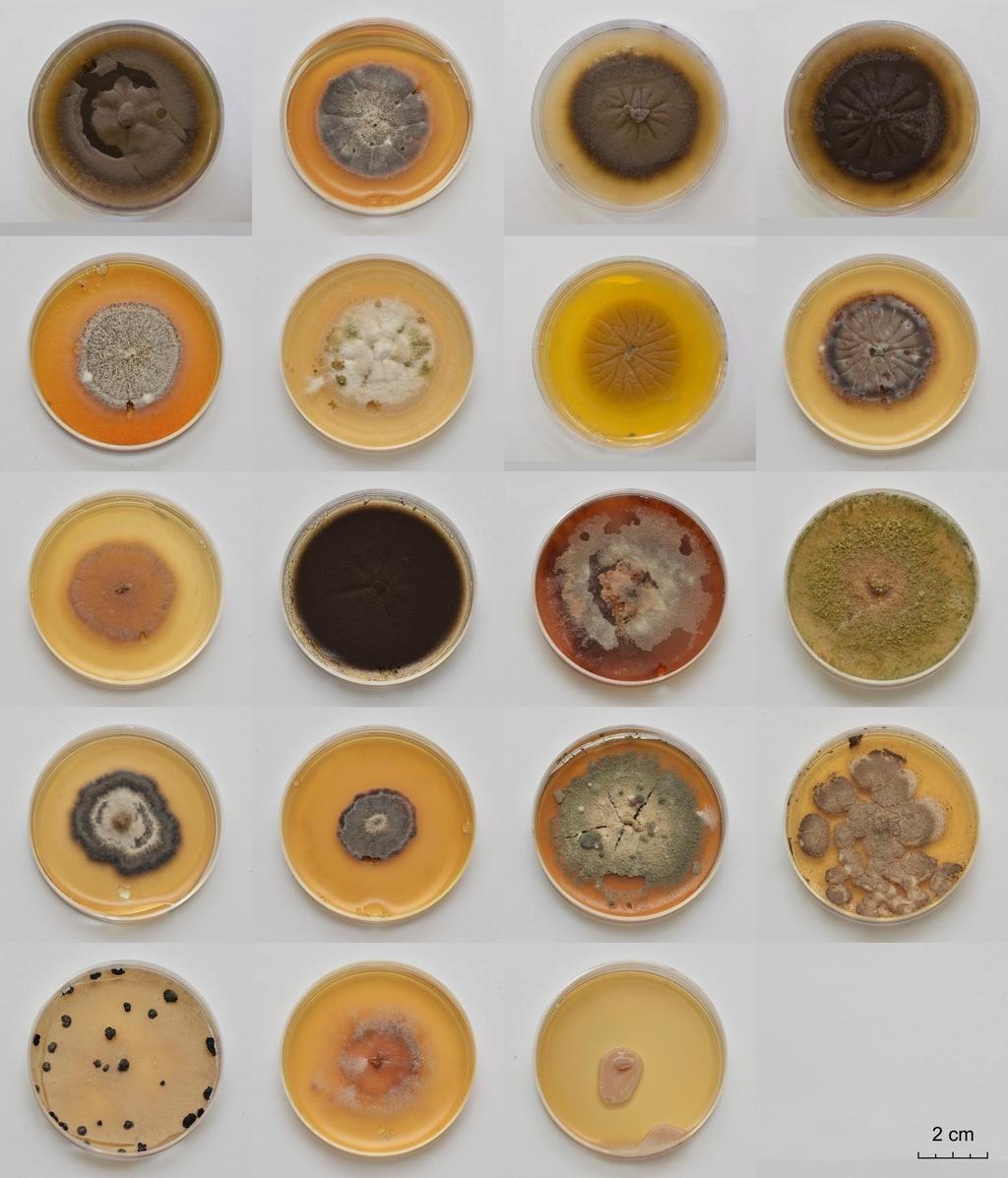Obr. 3.