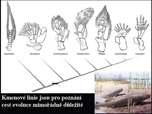 Obecný problém taxonomie a