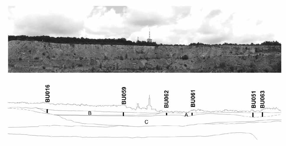 Předběžné výsledky stratigrafického výzkumu jury na Hádech u Brna Preliminary results of stratigraphic investigations of the Jura at Hády Hill near Brno Miroslav Bubík, Vít Baldík Česká geologická