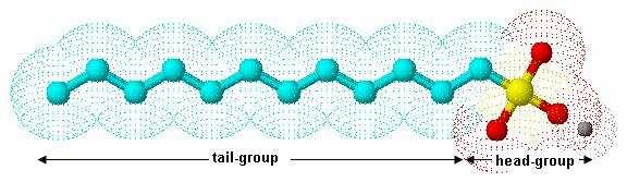 2.1.4. Micelle formation Figure 2.