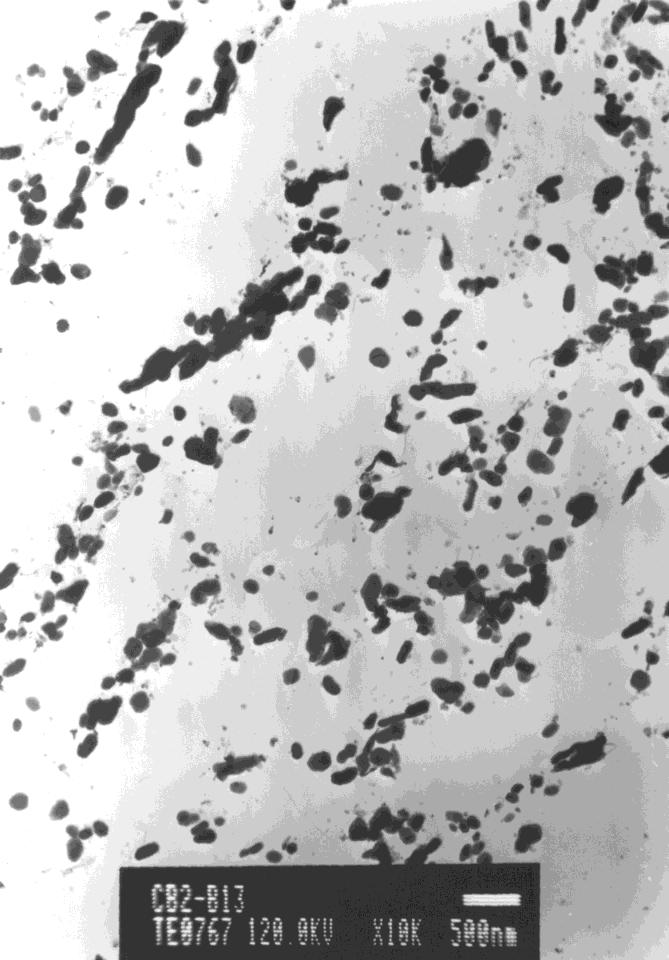 Příklady snímků pořízených na transmisním elektronovém mikroskopu z uhlíkových extrakčních replik vzorku B13 jsou uvedeny na obrázcích 6-7, 6-8.