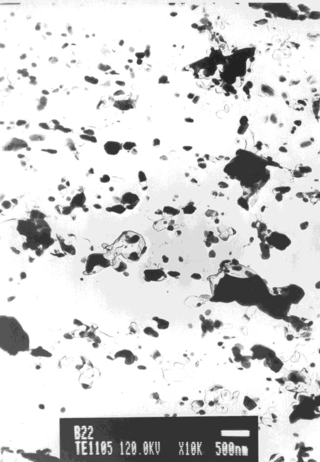 Příklady snímků pořízených na transmisním elektronovém mikroskopu z uhlíkových extrakčních replik vzorku B24 jsou na obrázcích 6-9, 6-10.