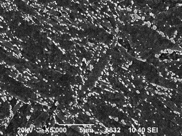 Měřená plocha na jednom snímku představovala zhruba 440 µm 2.