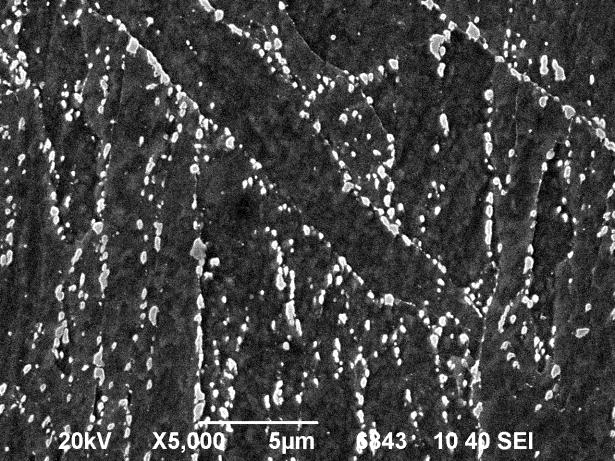 5000x metodou SE. Měřená plocha na jednom snímku představovala zhruba 440 µm 2.