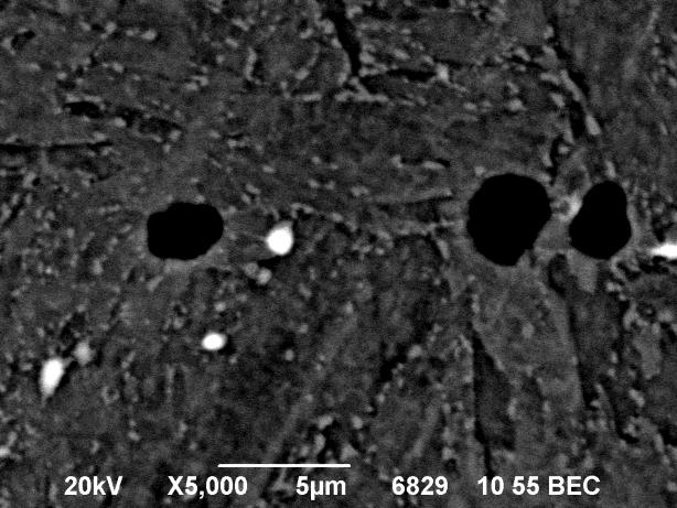 Příklady snímků pořízených na řádkovacím elektronovém mikroskopu z naleptaného metalografického výbrusu vzorku A1 jsou uvedeny na obrázcích 6-27, 6-28.