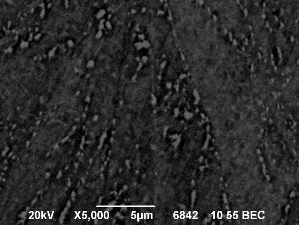 Obrázek 6-29 Vzorek B13, naleptaný metalografický výbrus, ŘEM, BSE Vzorek B22 Obrázek 6-30 Vzorek B13, naleptaný metalografický výbrus, ŘEM,