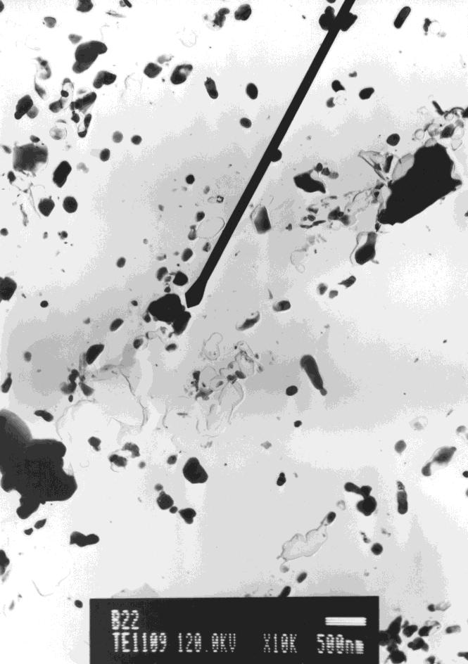 Obrázek 6-35 Vzorek B22, uhlíková extrakční replika, TEM Obrázek 6-36 EDX mikroanalýza M 23 C 6 Na snímku 1109 ukazovátkem označené částice (obrázek 6-35) bylo pomocí EDX mikroanalýzy zjištěno, že se