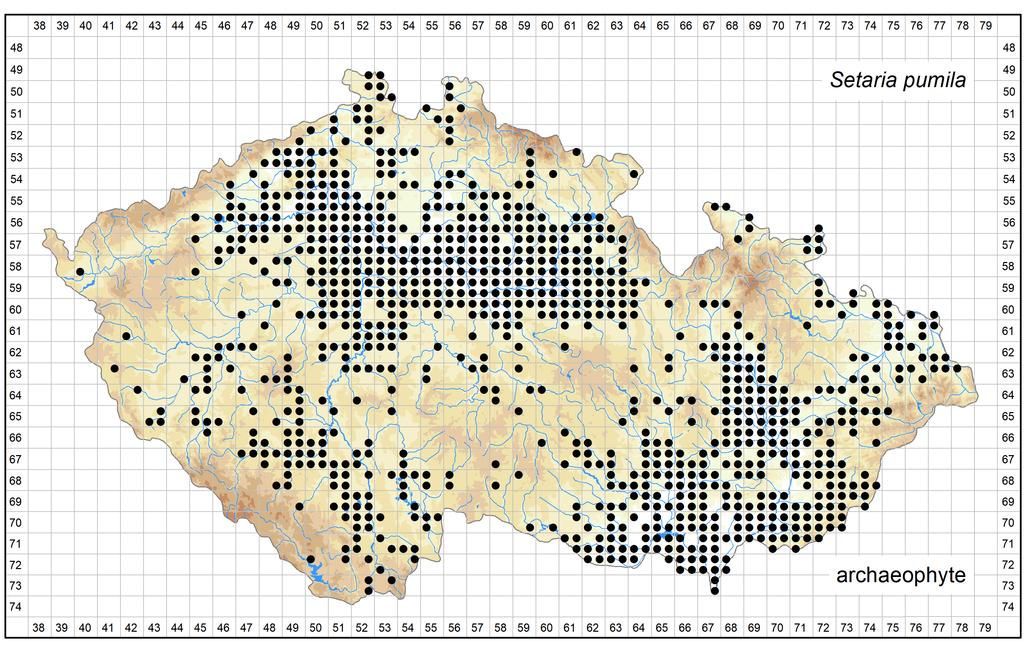 Distribution of Setaria pumila in the Czech Republic Author of the map: Jindřich Chrtek Map produced on: 26-10-2018 Database records used for producing the distribution map of Setaria pumila