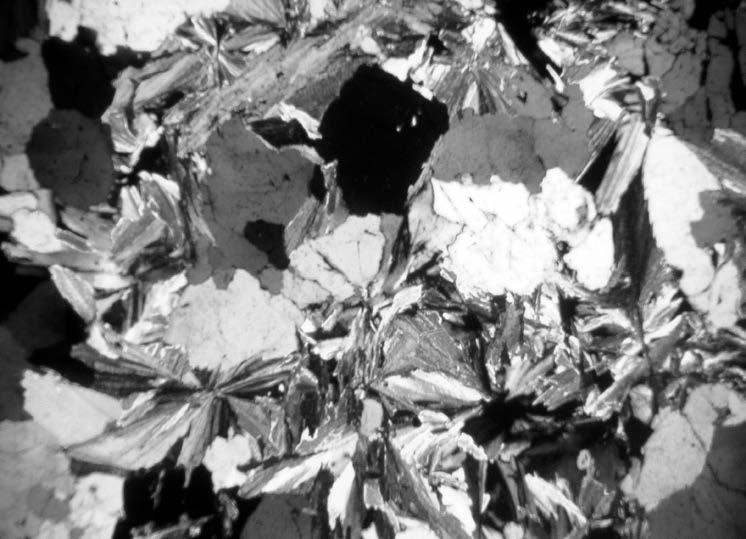 Obr. 3. Greisen bohatý muskovitem s pyritem, Starohuťský vrch. Polarizované světlo X nikoly. Foto J. Toman. Fig. 3. Pyrite-bearing muscovite-rich greisen, Starohuťský vrch (hill). Crossed polarizers.
