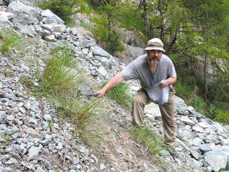 Koníčková, Š., Losos, Z., Hrazdil, V., Houzar, S., Všianský, D. (2016): Mineralogie očkových opálů z Nové Vsi u Oslavan (moldanubikum, Český masiv). Bull. mineral. petrolog. Odd. Nár. Muz.