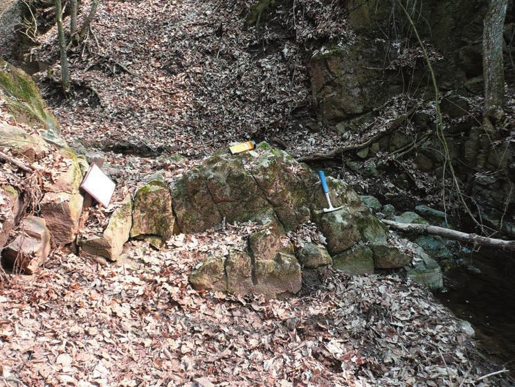 Obr. 25. Žíla subalkalického dacitu severně od bývalé elektrárny v Oslavanech (foto H. Gilíková). Fig. 25. Subalkali-dacite dyke north of the former power station in Oslavany (photo by H. Gilíková). PŘICHYSTAL (1993) podal mj.