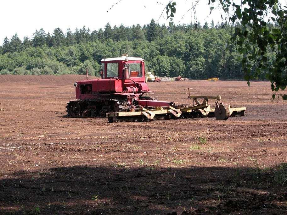 Třída Sphagnopsida (rašeliníky) rašelina funguje v krajině jako významný hydrologický a klimatologický faktor