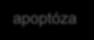 mechanizmy MDS