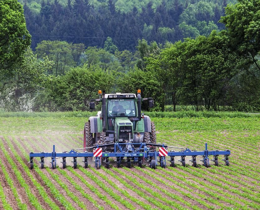 STEHNOVÁ, STŘEDOVÁ: Fenologie řepy cukrové v kontextu rizika vodní eroze Tab. I. Popis hodnocených fenofází (FF) a agrotechnických operací (AO) (17, 18).