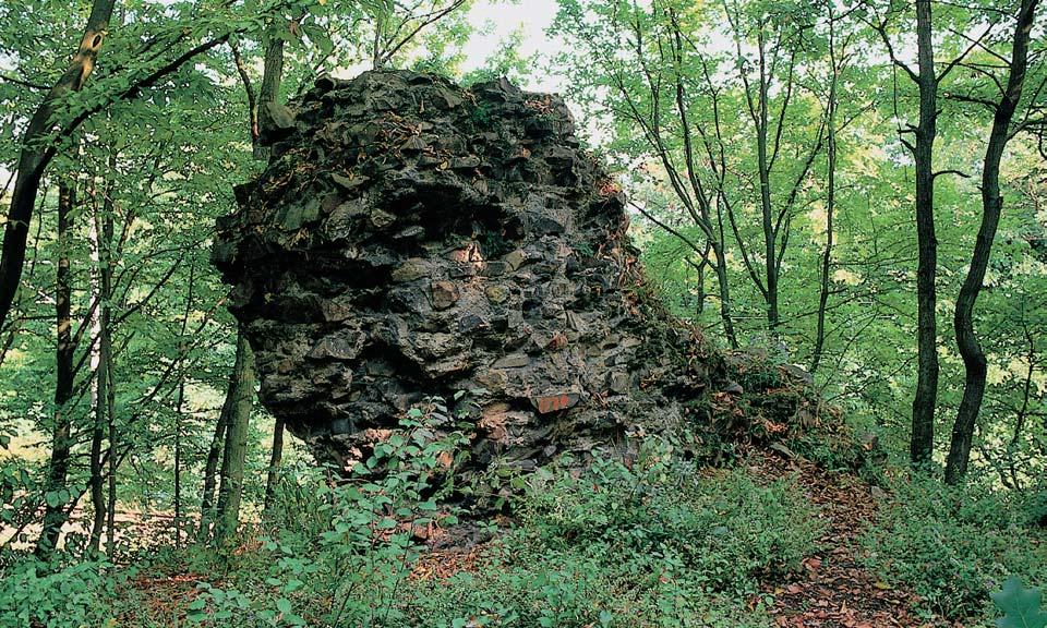 Okres Rokycany rezervace Pod star m hradem V choz ordovick ch sedimentû v erozní r ze a na svahu pod Ïelezniãní tratí, asi 500 m jiïnû od obce Klabava vrokycanské pahorkatinû.