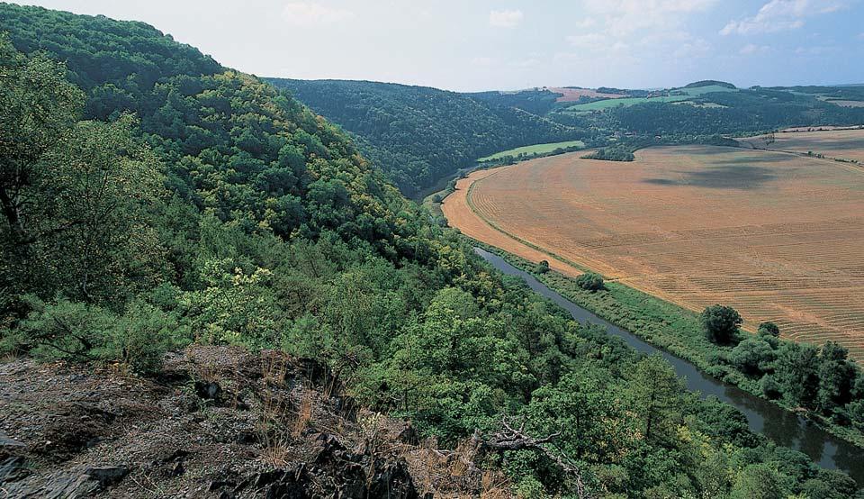 Okres Rokycany Národní pfiírodní rezervace GEOLOGIE NPR leïí na pfiíkrém erozním pravém svahu hlubokého údolí fieky Berounky.