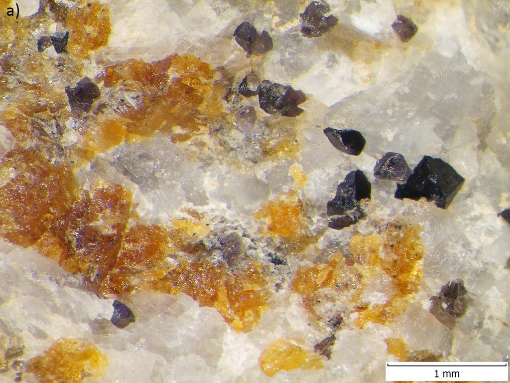 36 Bull. mineral.-petrolog. Odd. Nár. Muz. (Praha) 24, 1, 2016. ISSN 1211-0329 (print); 1804-6495 (online) Studované lokality 4. Zátaví - Stará Vápenice (N 49 17 36.1 E 14 6 35.8 ) 1.