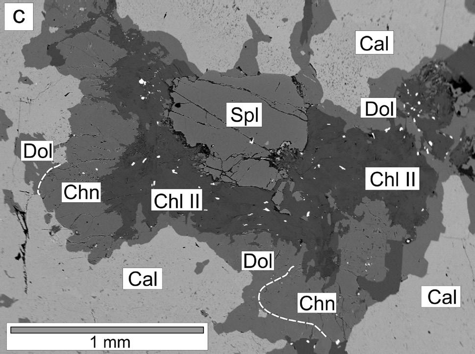 Obsah slíd, chloritů a amfibolů je ve srovnání s jinými podobnými mramory moldanubika zřetelně 37 nižší.