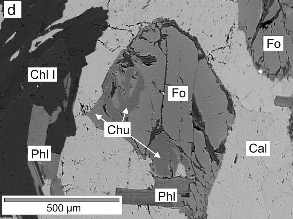 Ve výbrusech převládají zrna kalcitu o průměrné velikosti 1-2 mm, maximálně 1 cm. Dolomit tvoří nejméně dvě generace.