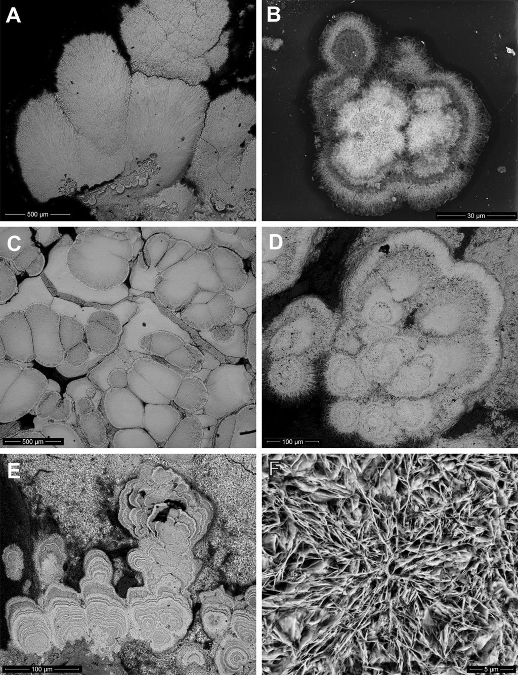 172 Bull Mineral Petrolog 26, 2, 2018. ISSN 2570-7337 (print); 2570-7345 (online) Obr. 6 Zpětně odraženými elektrony (BSE) zobrazené oxidické minerály manganu.